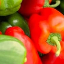 Best 25 of California Wonder Bell Pepper Seeds (NON-GMO) Heirloom Fresh ... - £3.00 GBP