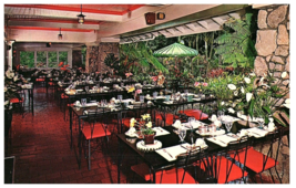 Waioli Tea Room Lanai Dining Room Manoa Valley Hawaii Postcard - £7.08 GBP