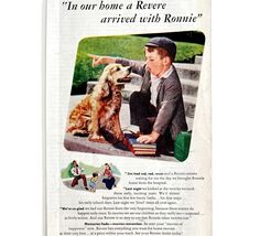 Revere 8 16 Cameras Projectors 1948 Advertisement Film And Photography D... - $13.50