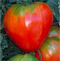 German Red Strawberry Tomato Seeds 20+ Seeds Non Gmo Fruit Herb Fresh - $10.75