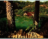 Sunken Gardens San Antonio Texas TX UNP Unused Chrome Postcard A12 - $2.92