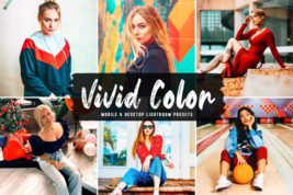 Vivid Color Pro Lightroom Presets - £12.48 GBP