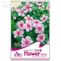 New Fresh Beautiful Periwinkle Flowers Seeds 20 Seeds Easy To Grow Long Beautifu - £2.88 GBP