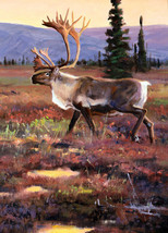 Elk Moose Deer Wildlife Nature Beauty Ceramic Tile Mural Backsplash Medallion - £46.56 GBP+