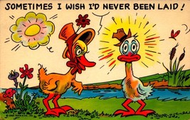 Vintage Comic POSTCARD-TWO Ducks, &quot;Sometimes I Wish I&#39;d Never Been Laid&quot; Bkc - £3.16 GBP