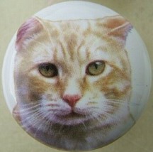 Cabinet Knobs w/ Kitten Orange Tabby 272 - £4.06 GBP