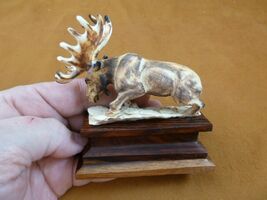 moose-24 brown Moose Elk bull running shed ANTLER figurine Bali detailed... - $78.20