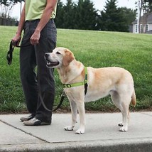 PetSafe Deluxe Easy Walk Steel Dog Harness Black/Apple 1ea/MD/LG - £41.11 GBP