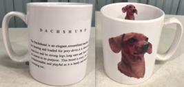 Dachshund Dog Lovers Coffee Mug Elegant Breed Strong Legs - £11.46 GBP