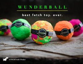 WUNDERBALL Best Dog Ball Fetch Toy Cleans Teeth Floats Indestructible Wa... - £10.24 GBP+