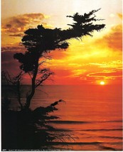 Never Framed 1991 8 x 10 Wall Art Print and Decor - Advanced Graphic &quot;Sunset II&quot; - $5.98