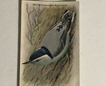 Arm &amp; Hammer Useful Birds Of America Antique #15 White Breasted Nuthatch... - $3.95