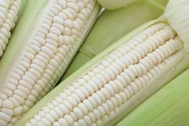 50 Seeds for Planting White Corn  - £14.92 GBP