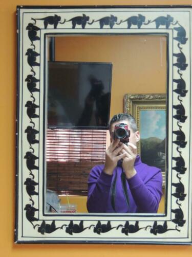 Primary image for Hand Painted Mirror 24.5"x18.5" black & white elephants trunk to tail handmade