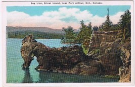 Postcard Sea Lion Silver Island Near Port Arthur Ontario - $4.94