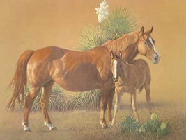 Nature&#39;s Blessing - Artist Proof by Wayne Baize -  16 1/2&quot; x 21 1/4&quot; - £99.05 GBP