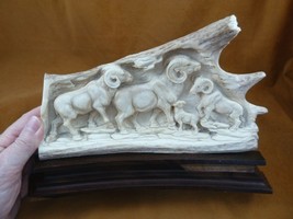 (Ram-3) Rams ram sheep of shed ANTLER figurine Bali detailed carving running - £260.60 GBP