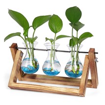 Propagation Stations,Plant Terrarium With Wooden Stand,Air Planter Hyacinth Glas - £15.68 GBP