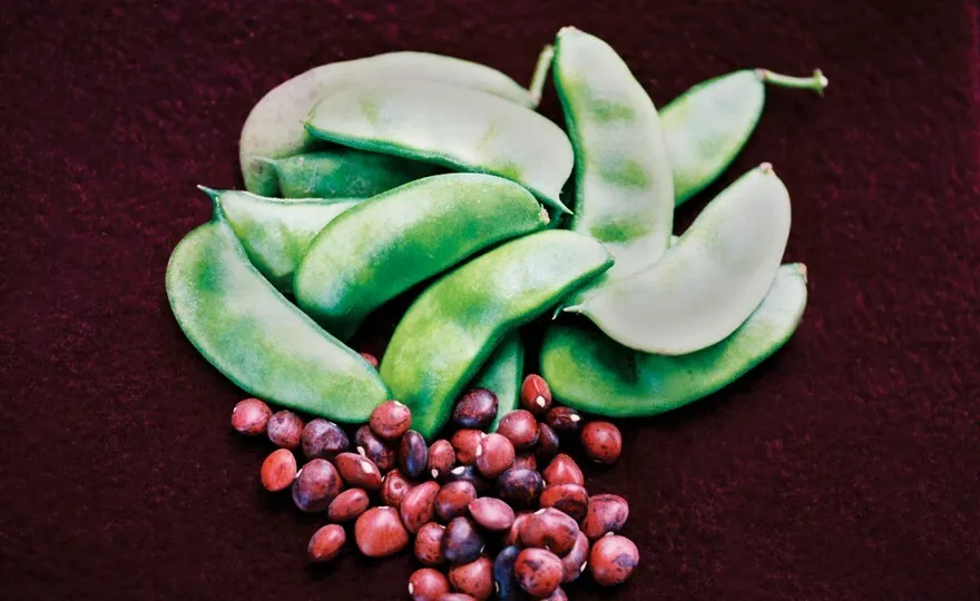 DIXIE SPECKLED BUTTERPEA SEEDS BUSH TYPE 1OZ 100 + SEEDS 2024 - $166.89 MXN
