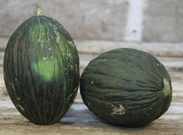 ENIL 25 Seeds Valencia Melon Fast Growing Sweet Tasting Farm Planting Garden - £3.32 GBP
