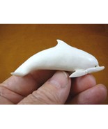 Dolph-4) white Albino baby Dolphin of shed ANTLER figurine Bali detailed... - $879.44 MXN