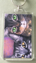 Large Cat Art Keychain - Close Up Cats - $8.00