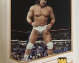 Tito Santana 2014 Topps WWE Wrestling Trading Card #107 - $1.97