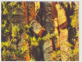 Rock Formations at Chiricahua Mountains National Park Vintage Postcard U... - $3.47