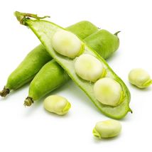 25 Seeds Fava Beans-(Vicia Faba) - £7.01 GBP