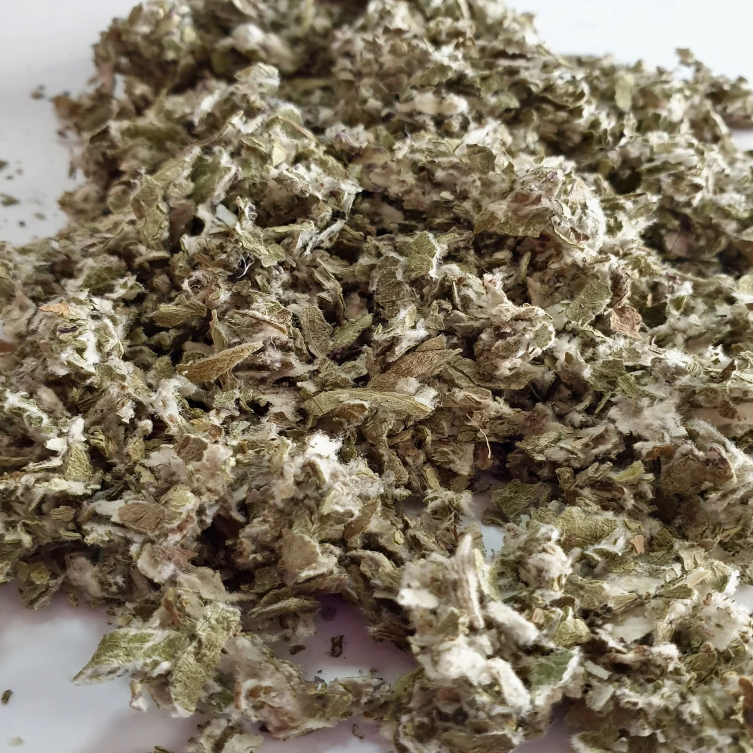 Wholesale!! Wildcrafted Coltsfoot Leaf Dried Cut/Sifted-4 oz, 1,2,5 lbs - $185.46 MXN+