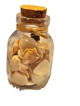 Shells In A  Bottle - Mini shells Cork Top Glass Bottle - Approx. 3 x 1.5 Beach - £5.51 GBP