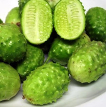 50 West Indian Gherkin Seeds Burr Spike Cucumber Heirloom USA Seller Garden Fres - £3.99 GBP