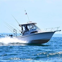 LOWRANCE N2KEXT-6RD 6' NMEA 2000 CABLE image 3