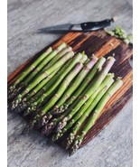 SEED- Grow Your Own Asparagus- Unmatched Fresh Taste from your Garden- - €3,19 EUR+