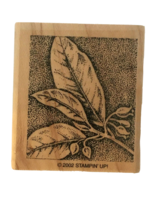 Stampin Up Nature&#39;s Wonders Sweet Pea Plant Nature Art 2002 Wood Mounted Stamp - £3.18 GBP