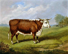 Framed canvas art print giclee The prize bull, 1873 cow farm antique painting - £31.02 GBP+