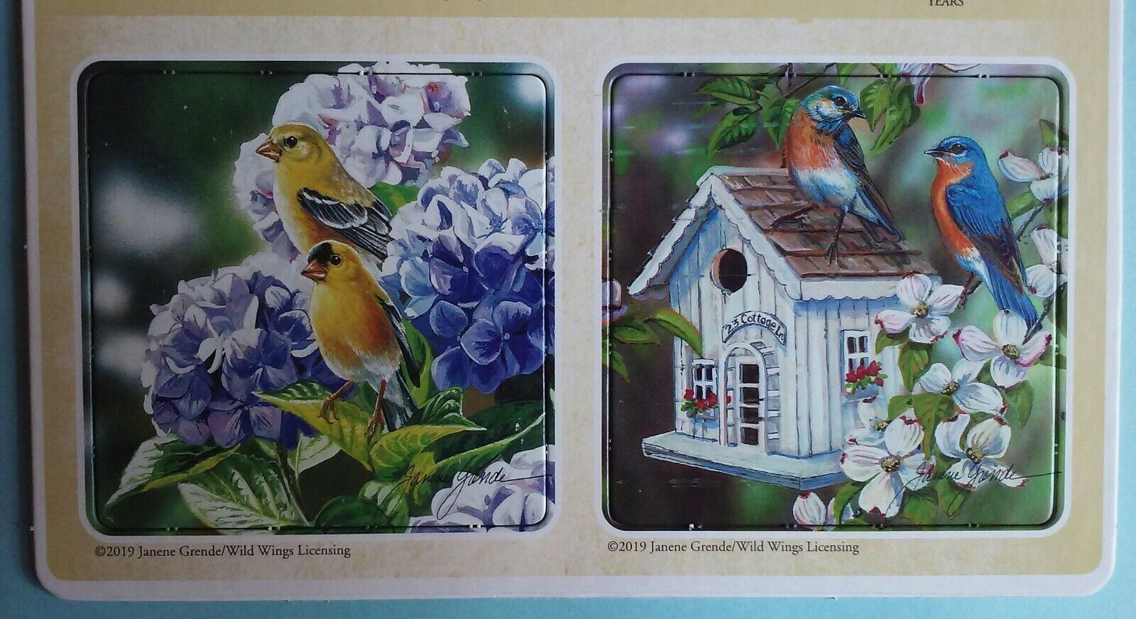 Coasters (6) Bird Flowers Double Sided squares NEW cardboard - $2.35