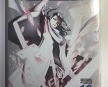 SHONEN JUMP BLEACH - 13 THE ENTRY (DVD) - £9.64 GBP