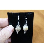 DP1-21i REAL DINOSAUR POOP 12mm bead dangle EARRINGS Utah ancient Dino C... - $18.99
