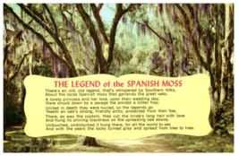 The Legend Of The Spanish Moss Flowers Postcard Posted 1977 - £7.08 GBP