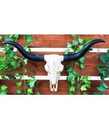 Ebros Texas Longhorn Steer Cattle Cow Skull Wall Hanging Plaque Figurine... - €34,57 EUR
