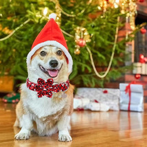 DOGWONG Christmas Dog Collar with Flower, Red Plaid Deer Dog Collar M L - £6.78 GBP