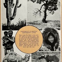 1937 Climates and Cultures Print Natural History Ecology Polar Bear Cactus DWN8B - £23.62 GBP