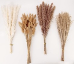 Pampas Grass Contains Bunny Tails Dried Flowers, Reed Grass Bouquet, 100... - $44.92