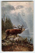 Deer Postcard Signed M Muller Germany Rustic Wildlife Mountains Eagle Clouds - £10.65 GBP