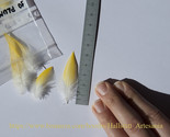 10 plumas de 4 y 5 3 cm thumb155 crop