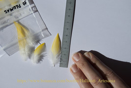 10 yellow feathers of 4 and 5.3 cm / 10 plumas amarillas de 4 y 5,3 cm  - £9.88 GBP