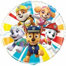 Paw Patrol 18&quot; Round Foil Mylar Balloon Skye Chase Marshall Everest - £3.46 GBP