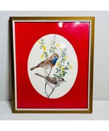 Anatole Marlin Bird Print Blue Throat Framed Art Home Decor Vintage Signed