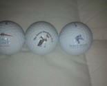 5 Pinnacle Golf balls #3 with logos of various courses Never hit - $19.99